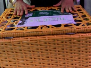 the yunik signature bundle box (tier 2)